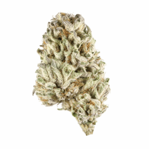 Tangerine Cookies